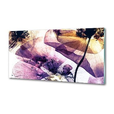 Spatscherm keuken Droge klaprozen