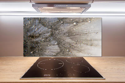 Keuken achterwand Paardenbloemzaden