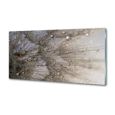 Keuken achterwand Paardenbloemzaden