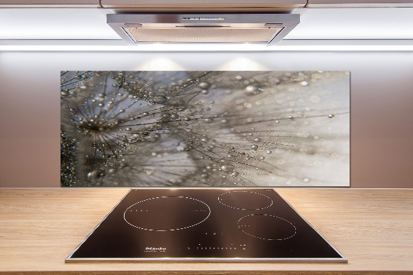 Keuken achterwand Paardenbloemzaden