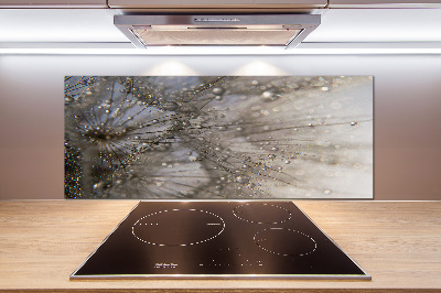 Keuken achterwand Paardenbloemzaden