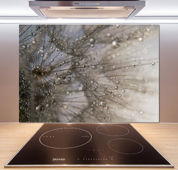 Keuken achterwand Paardenbloemzaden