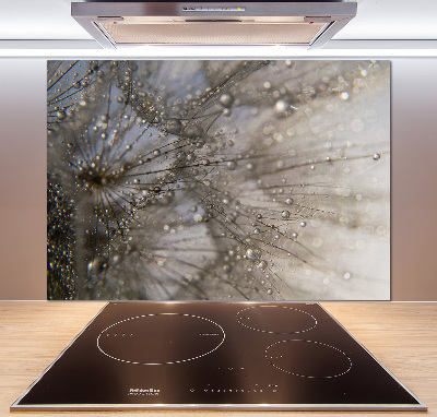 Keuken achterwand Paardenbloemzaden