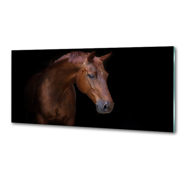 Keuken achterwand Bruin paard