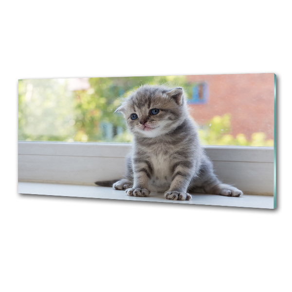 Glazen achterwand keuken Een klein katje bij het raam