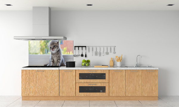 Glazen achterwand keuken Een klein katje bij het raam