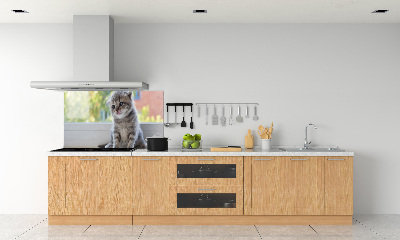 Glazen achterwand keuken Een klein katje bij het raam