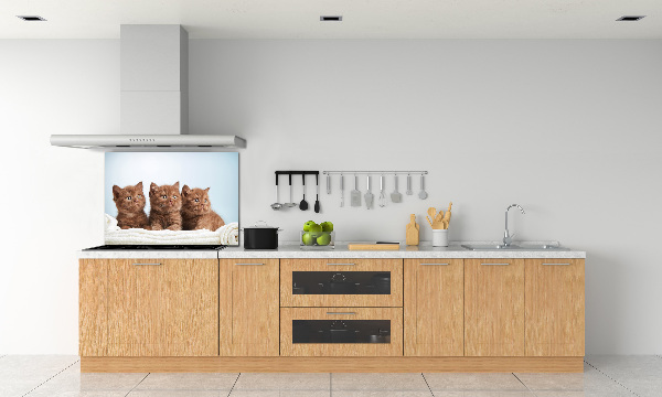 Spatscherm keuken Kittens op een handdoek