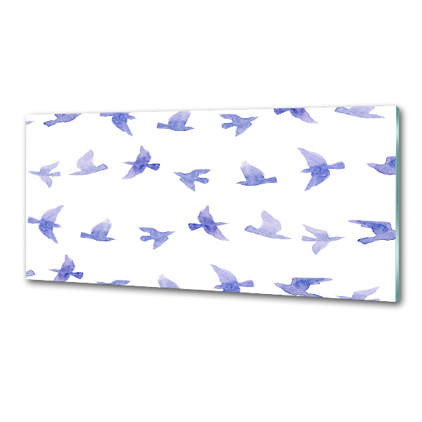 Spatplaat keuken Zwaluwen