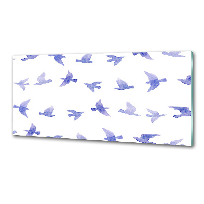 Spatplaat keuken Zwaluwen