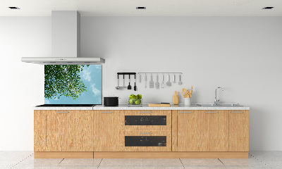 Spatplaat keuken Bladeren in de lucht