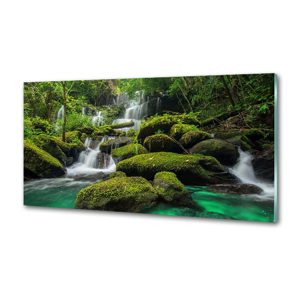 Spatscherm keuken Waterval in het bos