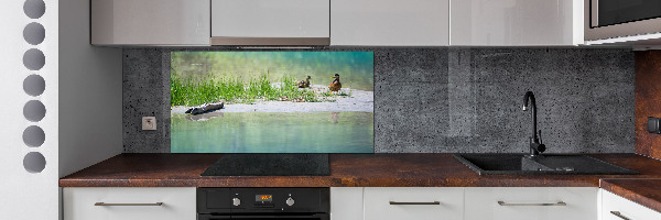 Glazen achterwand keuken Eenden bij het water