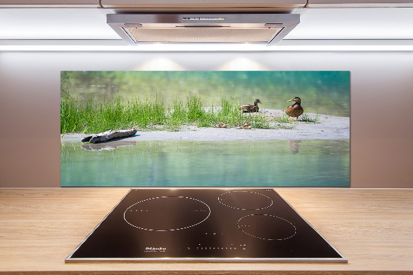 Glazen achterwand keuken Eenden bij het water