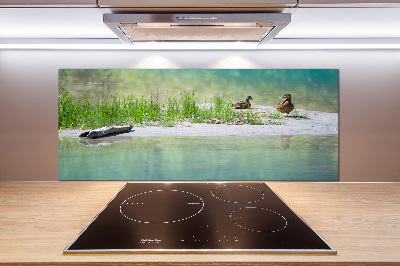 Glazen achterwand keuken Eenden bij het water