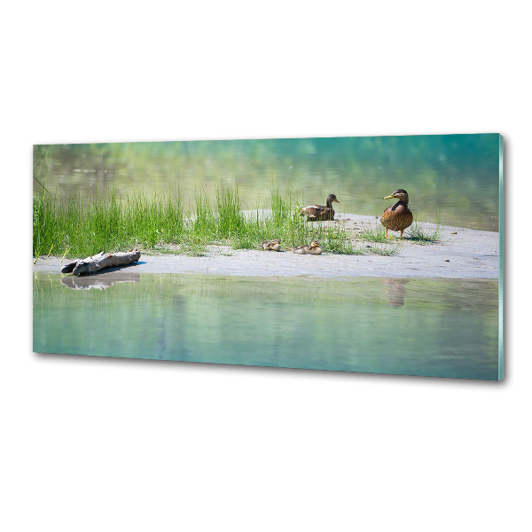 Glazen achterwand keuken Eenden bij het water