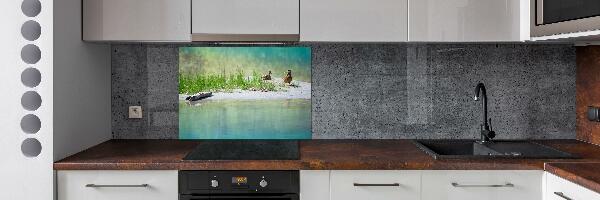 Glazen achterwand keuken Eenden bij het water