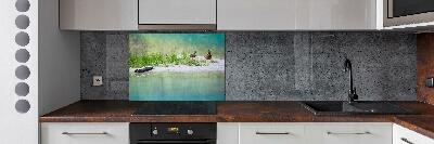 Glazen achterwand keuken Eenden bij het water