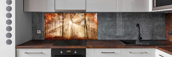 Spatscherm keuken Mist in het herfstbos