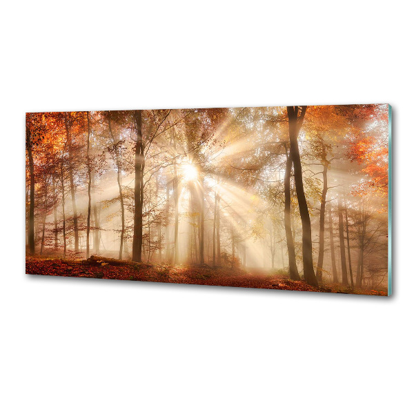 Spatscherm keuken Mist in het herfstbos