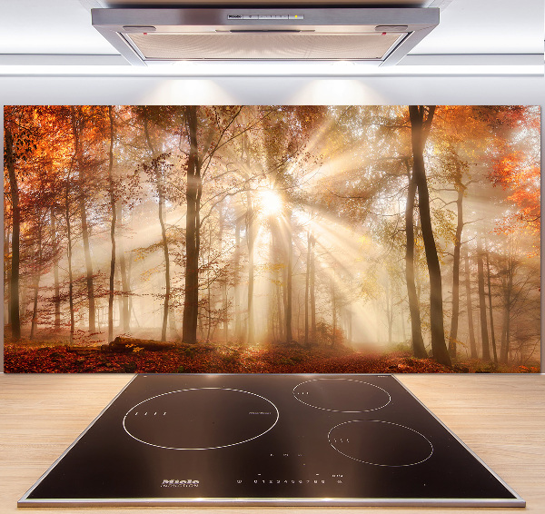 Spatscherm keuken Mist in het herfstbos