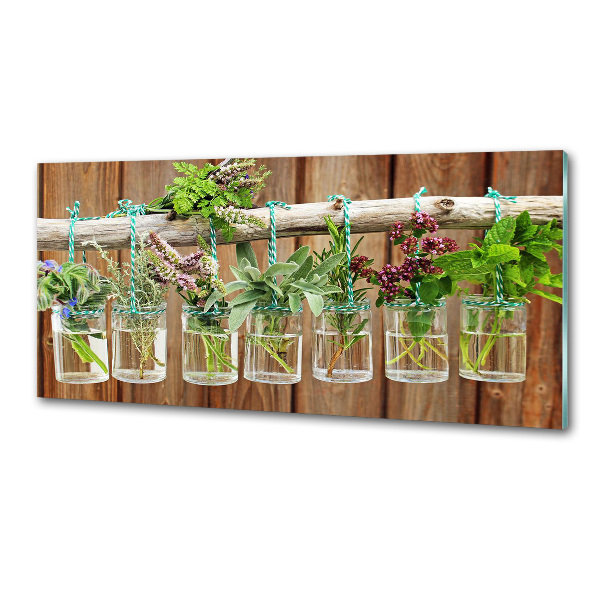 Spatplaat keuken Kruiden in potjes