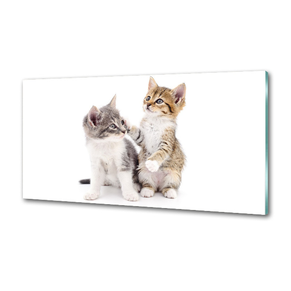 Glazen achterwand keuken Twee kleine katjes