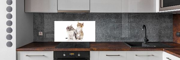 Glazen achterwand keuken Twee kleine katjes