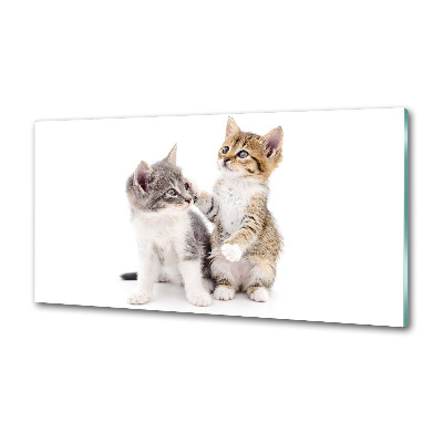 Glazen achterwand keuken Twee kleine katjes