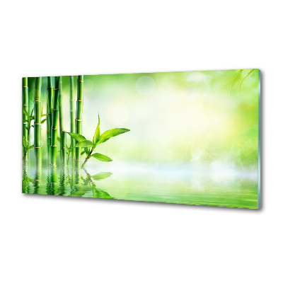 Glazen achterwand keuken Bamboe