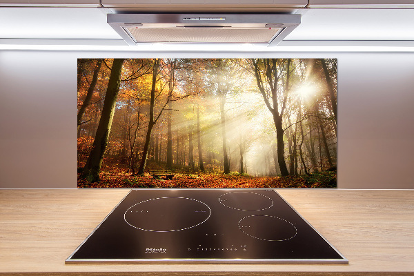 Spatscherm keuken Mist in het bos