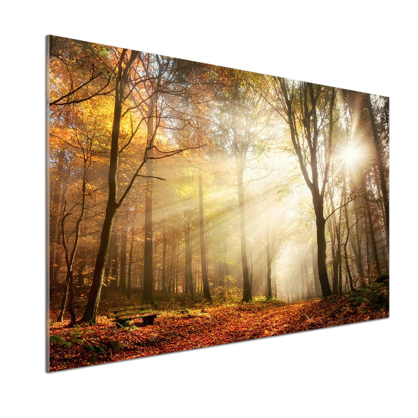 Spatscherm keuken Mist in het bos