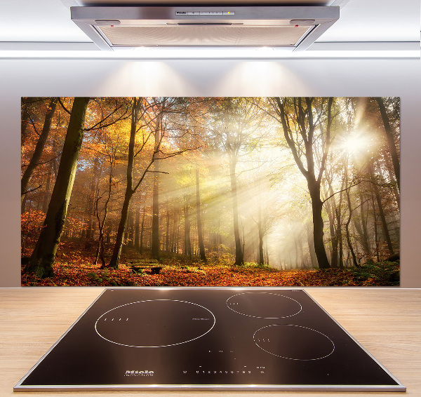 Spatscherm keuken Mist in het bos