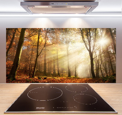 Spatscherm keuken Mist in het bos