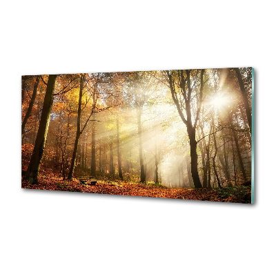 Spatscherm keuken Mist in het bos