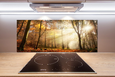 Spatscherm keuken Mist in het bos