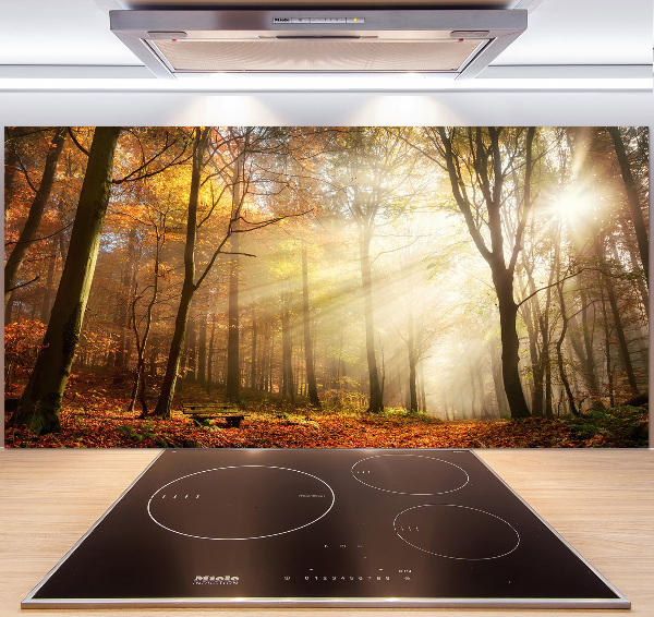 Spatscherm keuken Mist in het bos