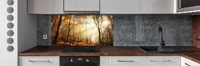 Spatscherm keuken Mist in het bos