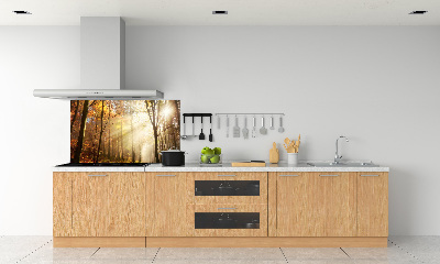 Spatscherm keuken Mist in het bos