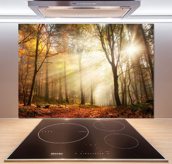 Spatscherm keuken Mist in het bos