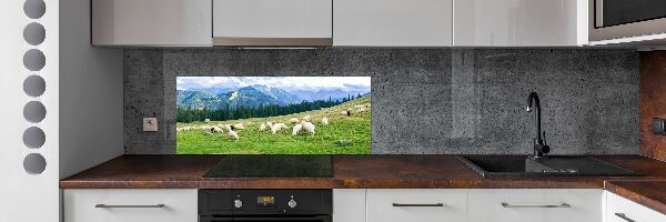 Keuken achterwand Schapen in het Tatragebergte