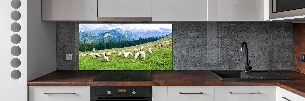 Keuken achterwand Schapen in het Tatragebergte
