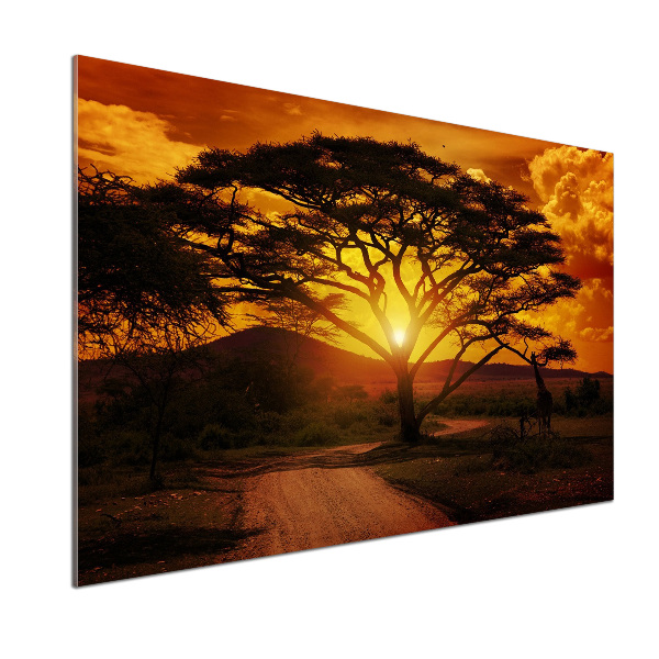 Spatscherm keuken West-Afrika