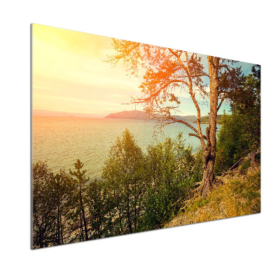 Spatplaat keuken Scandinavisch meer