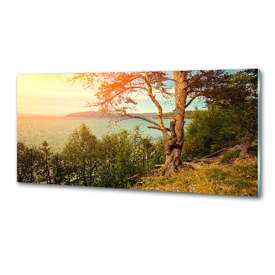 Spatplaat keuken Scandinavisch meer