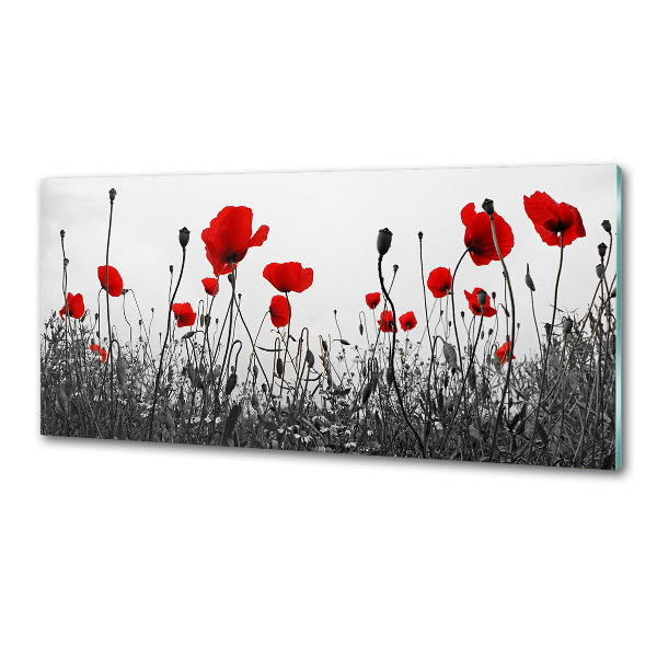 Spatplaat keuken Klaprozen