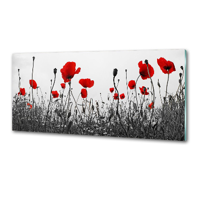 Spatplaat keuken Klaprozen