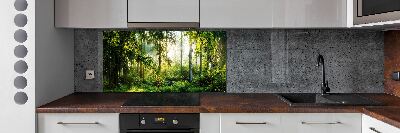 Glazen achterwand keuken Ochtendzonbos