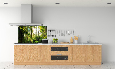 Glazen achterwand keuken Ochtendzonbos