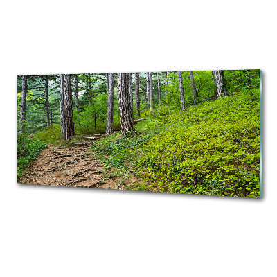 Achterwand keuken Bospad